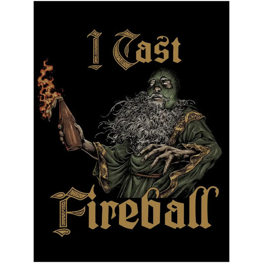 I Cast Fireball (Canvas) Threat Llama